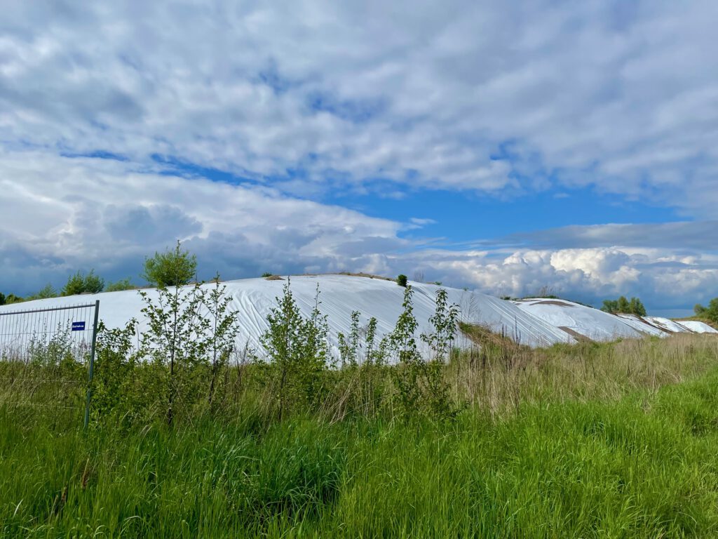 Von PFAS belasteter Boden in Bühl (Foto: Patricia Klatt)